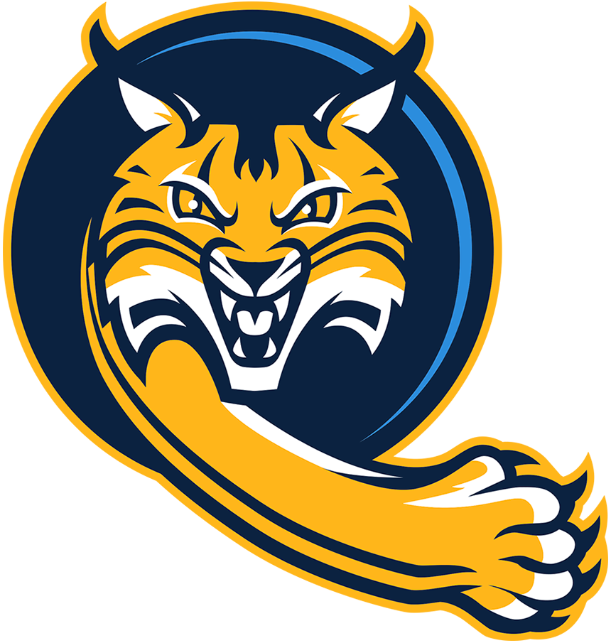 Quinnipiac Bobcats 2019-Pres Alternate Logo v4 diy DTF decal sticker